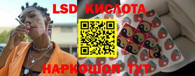 гашик Вышний Волочёк