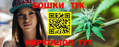 гашик Вышний Волочёк