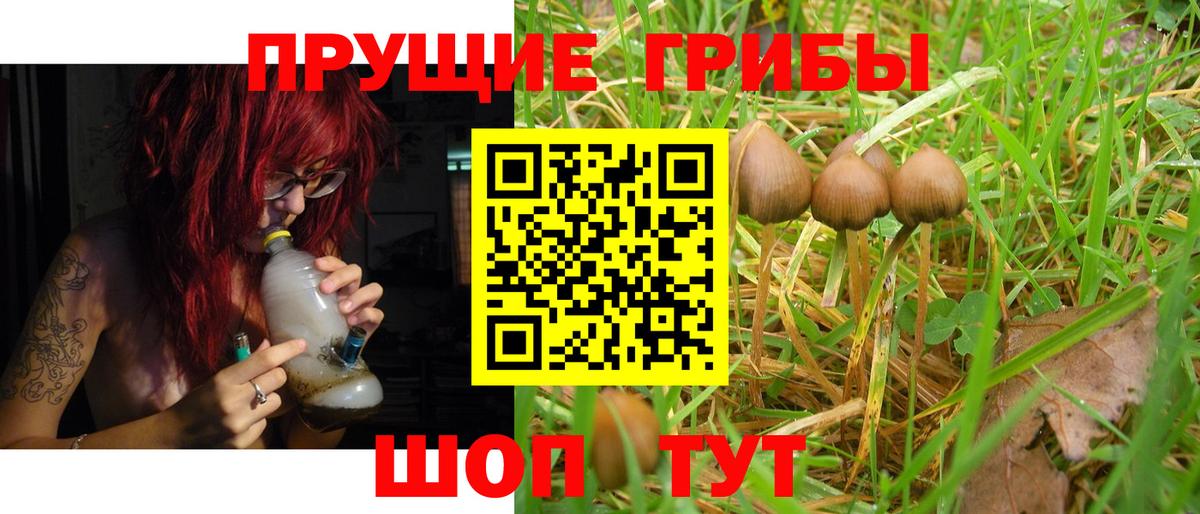 Галлюциногенные грибы ЛСД Губкин